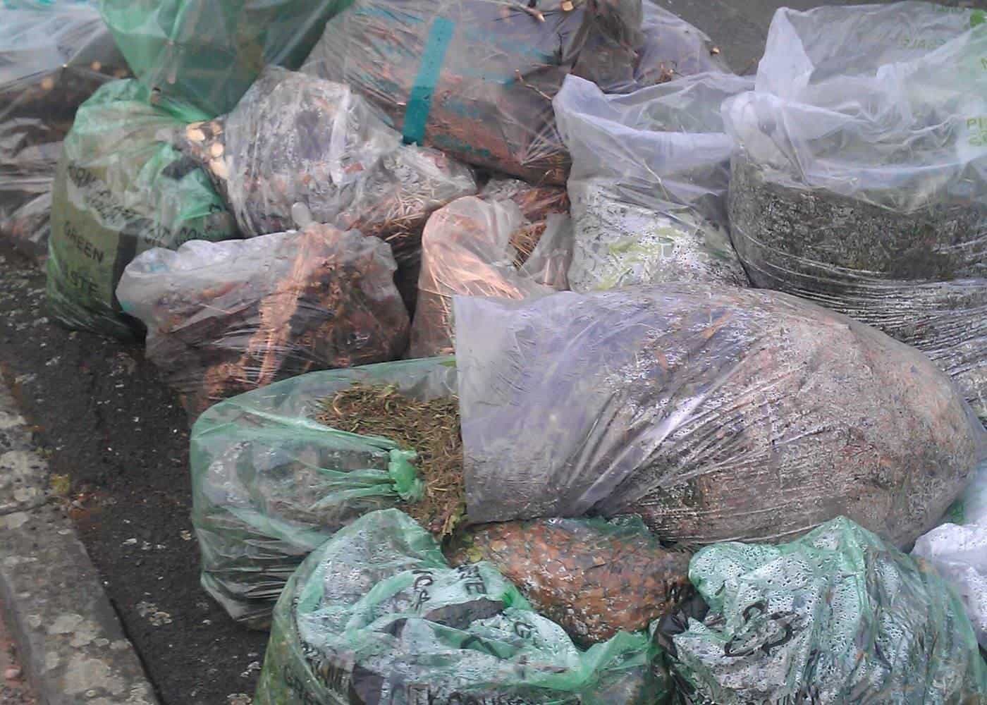 A pile of bulging green sacks of garden waste on a lawn