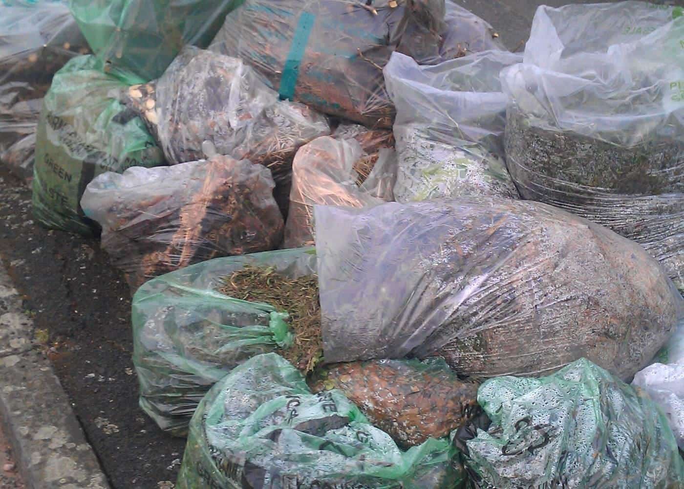 A pile of bulging green sacks of garden waste on a lawn
