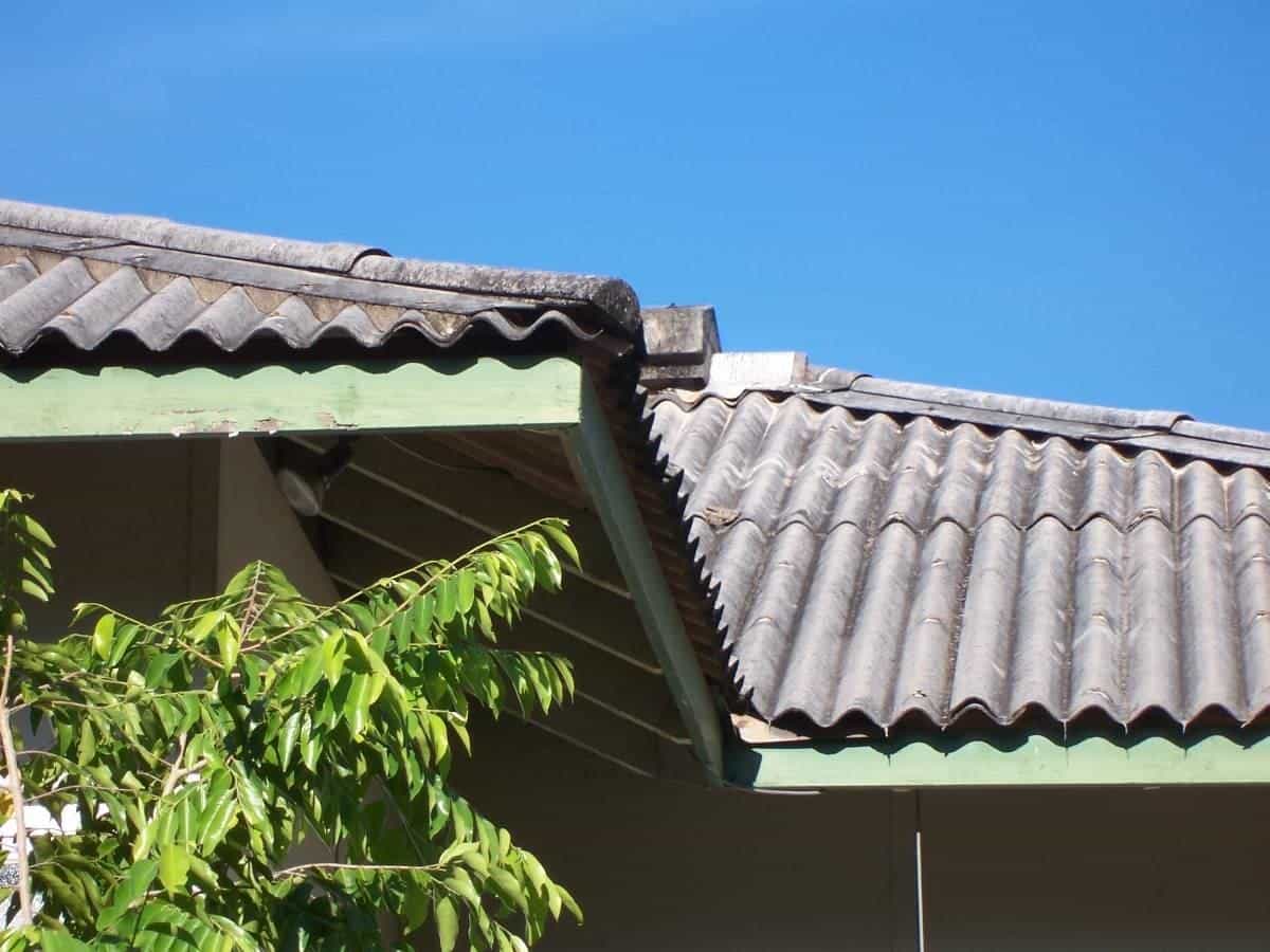 Old corrugated fibro roofing sheets on a building beside a garden